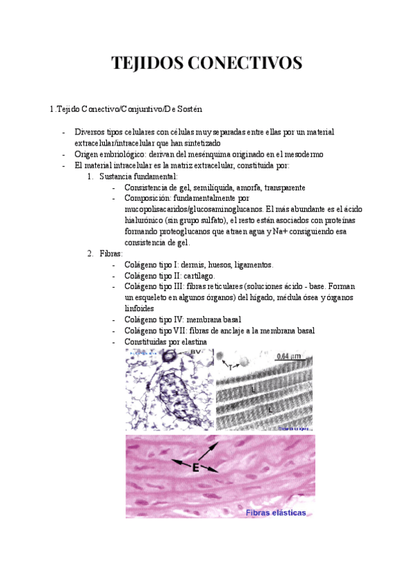Miniatura del documento TEJIDO-CONECTIVO.pdf