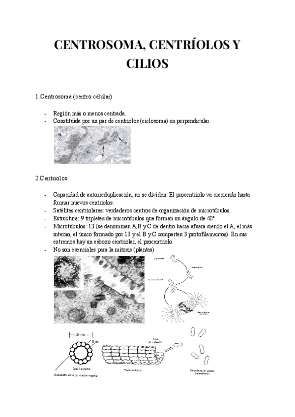 Miniatura del documento CENTROSOMA-Y-CENTRIOLOS.-CILIOS.pdf
