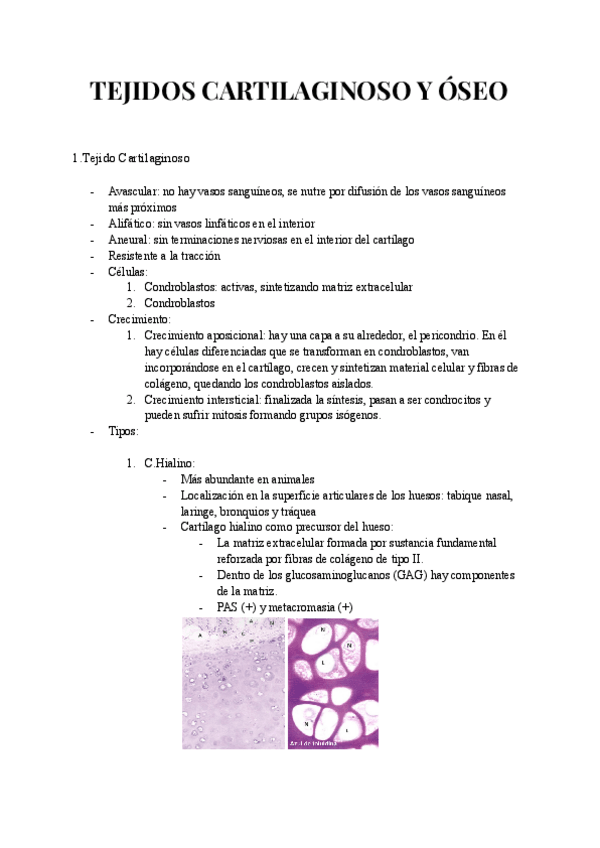Miniatura del documento TEJIDO-OSEO-Y-CARTILAGINOSO.pdf