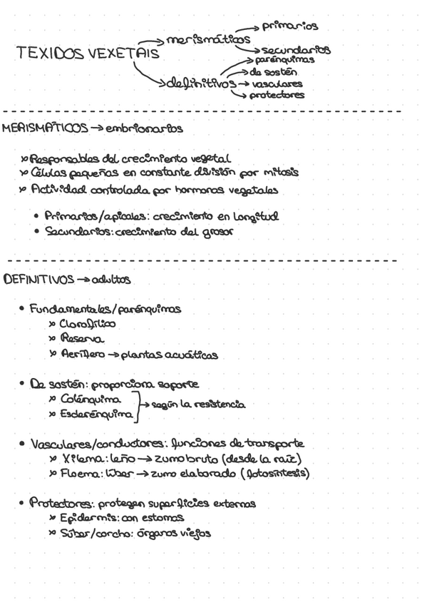 Miniatura del documento Os-texidos-esquema.pdf