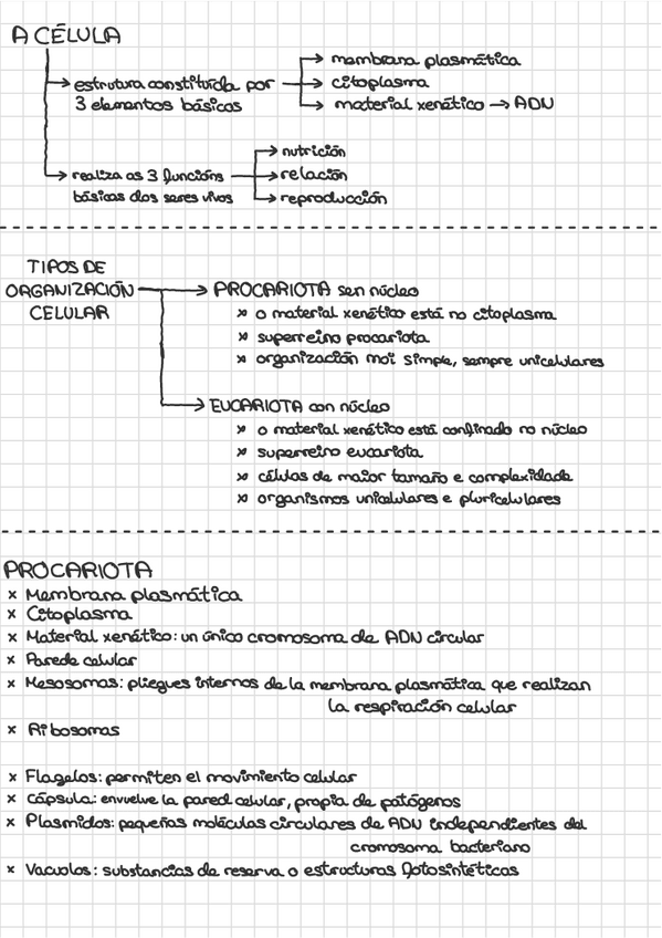 Miniatura del documento A-celula-esquema.pdf