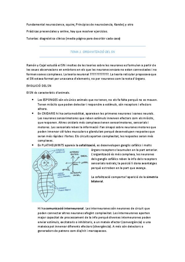 Miniatura del documento Apunts-neuro.pdf