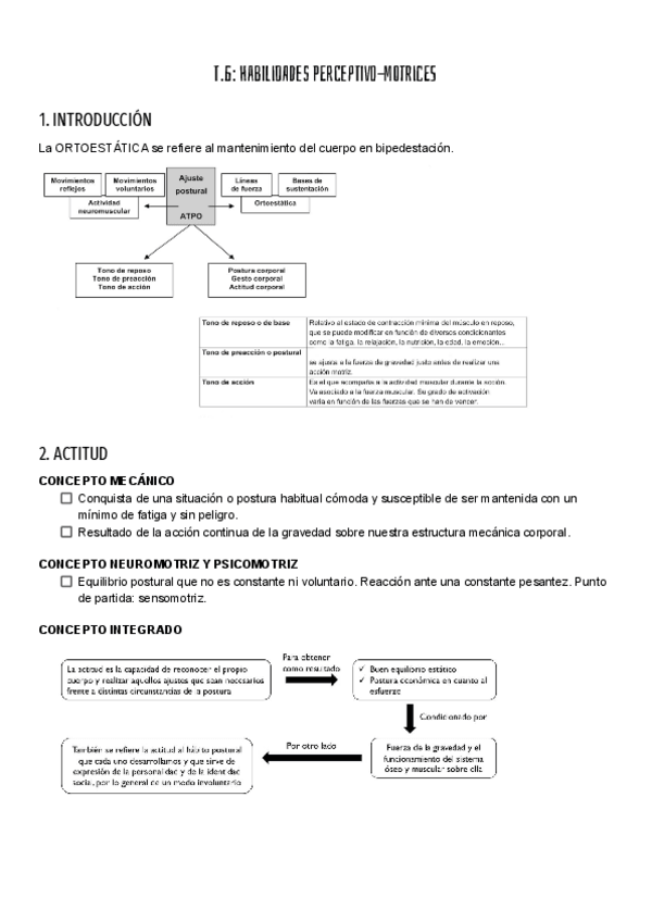 Miniatura del documento HABILITADES-T.6.pdf