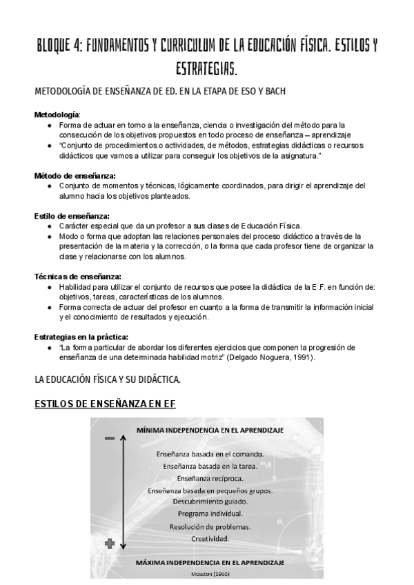 Miniatura del documento DIDACTICA-BLOQUE-4-II.pdf