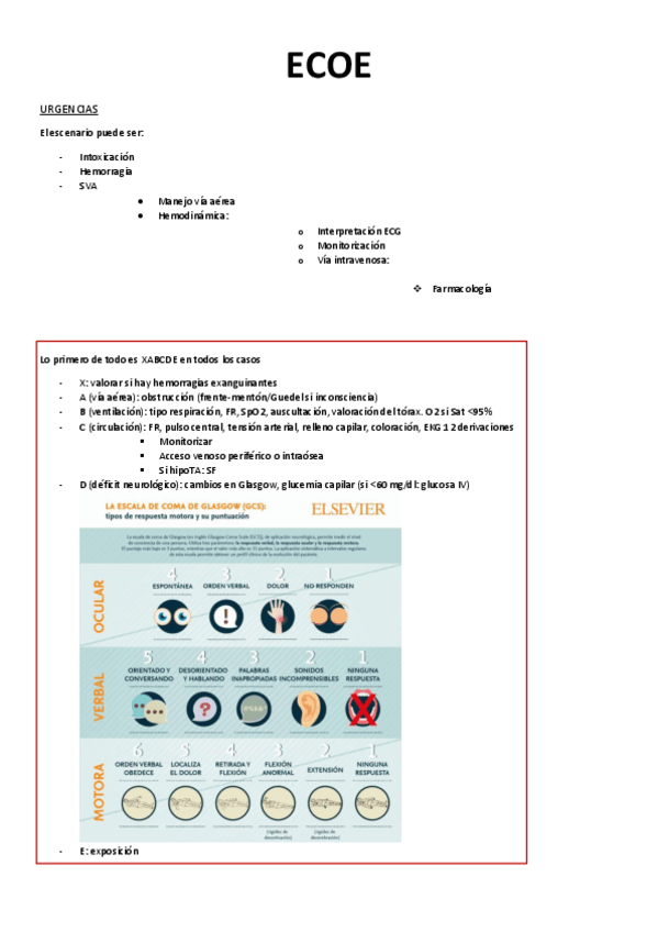 Miniatura del documento ECOE.pdf