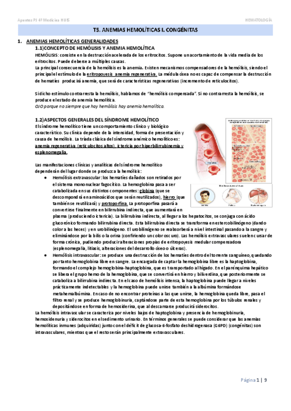 Miniatura del documento T5.-Anemias-hemoliticas-I.-Congenitas.docx.pdf