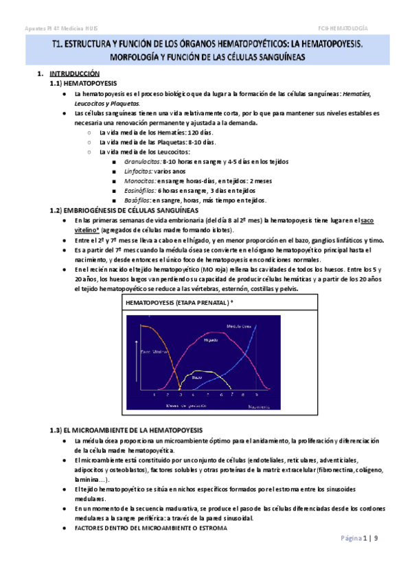 Miniatura del documento T1.-ESTRUCTURA-Y-FUNCION-DE-LOS-ORGANOS-HEMATOPOYETICOS-LA-HEMATOPOYESIS.-MORFOLOGIA-Y-FUNCION-DE-LAS-CELULAS-SANGUINEAS..docx.pdf