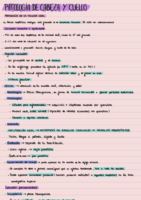 Miniatura del documento Tema-13.pdf