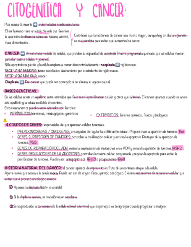 Miniatura del documento TEMA-12-BM.pdf