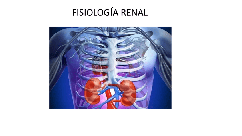 Miniatura del documento Fisiologia-RENAL.pdf