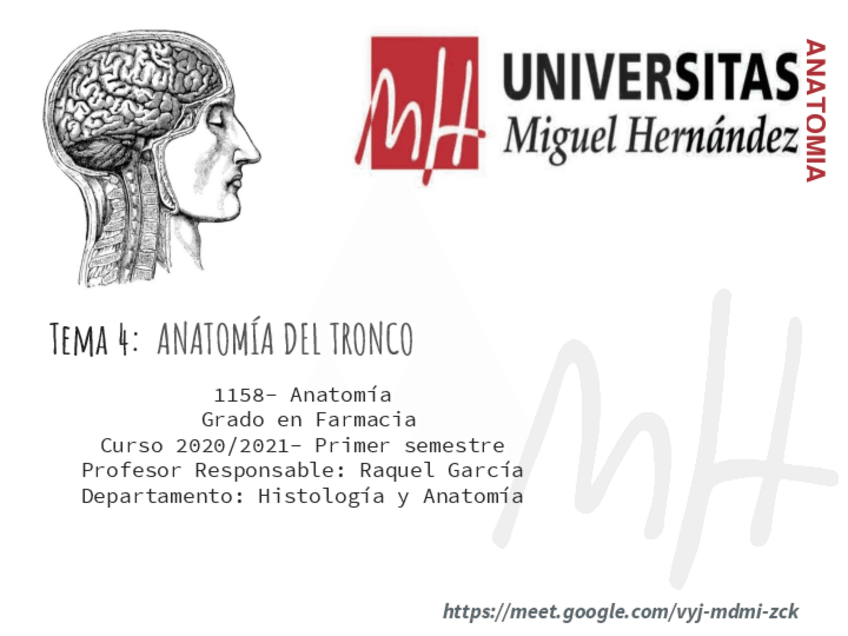 Miniatura del documento TEMA-4-ANATOMIA-DEL-TRONCO.pdf