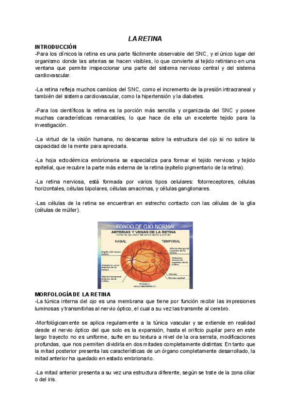 Miniatura del documento LA-RETINA.pdf