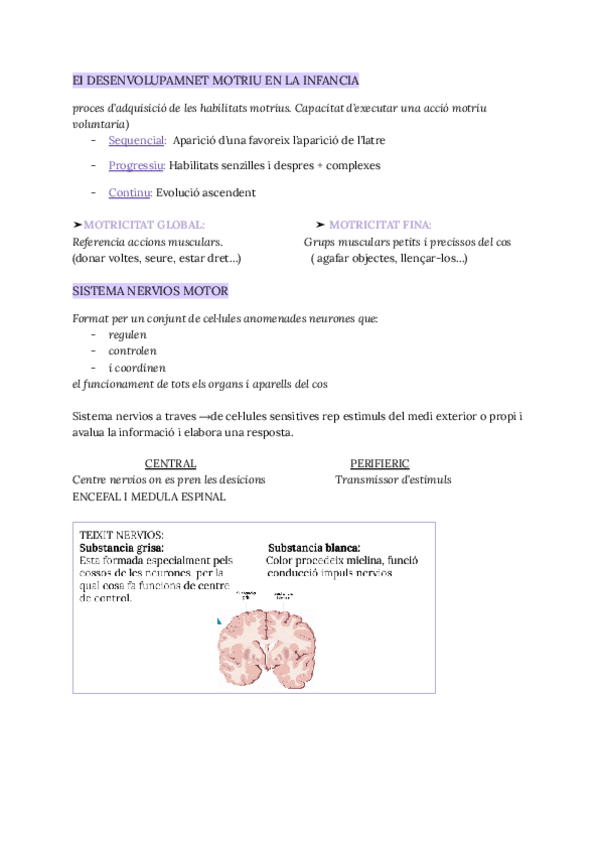Miniatura del documento UF2.-NF-1-DESENVOLUPAMENT-MOTRIU.pdf