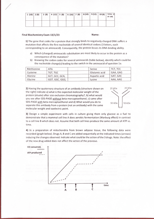 Miniatura del documento Final de 2023.pdf
