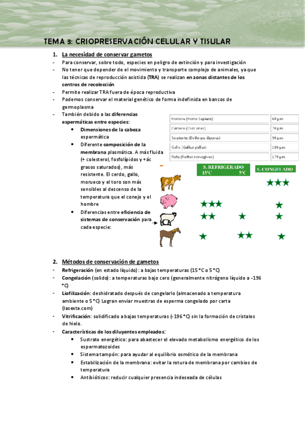 Miniatura del documento Tema-3-apuntes.pdf