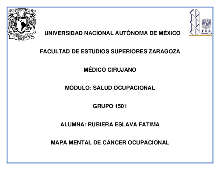 Miniatura del documento Mapa-mental-de-cancer-ocupacional.pdf