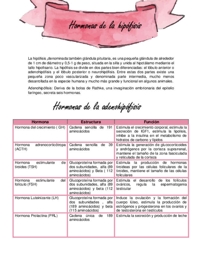 Miniatura del documento Hormonas-de-la-Hipofisis.pdf