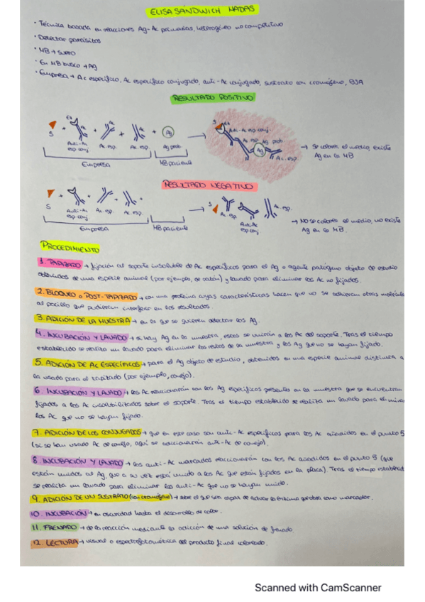 Miniatura del documento ELISA-sandwich-HADAS.pdf