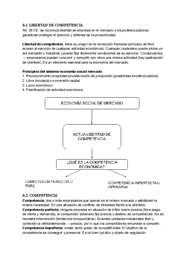 Miniatura del documento T.6.-MERCANTIL.pdf