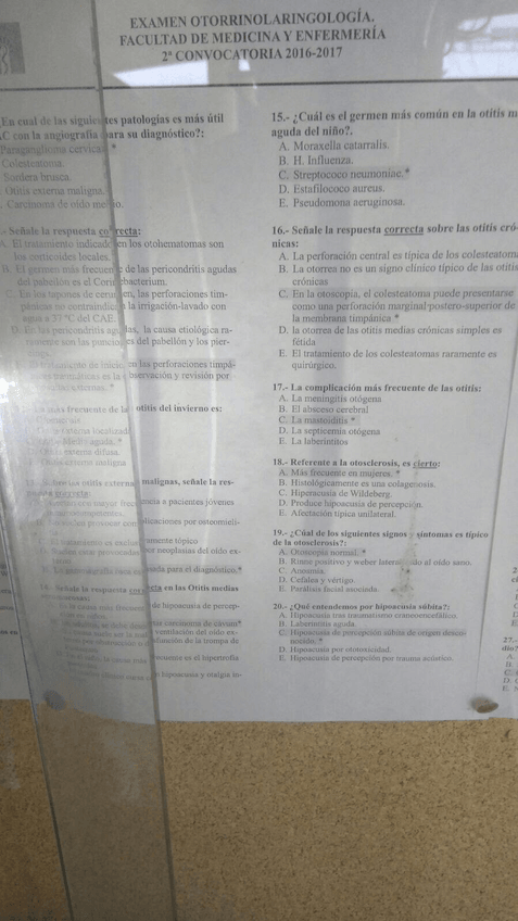 Miniatura del documento unnamed (3).jpg