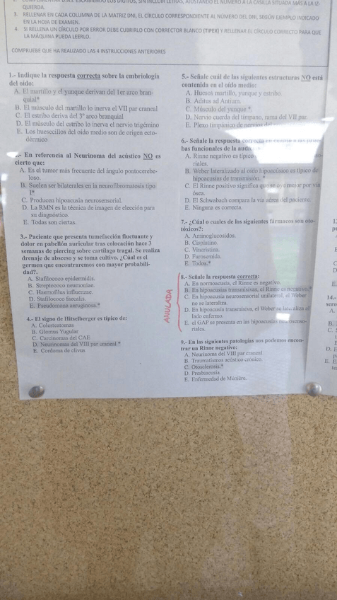 Miniatura del documento unnamed.jpg