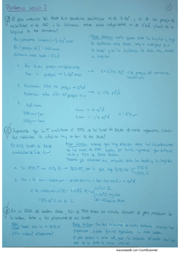 Miniatura del documento Problemas Resueltos de la Sesión I a VI.pdf