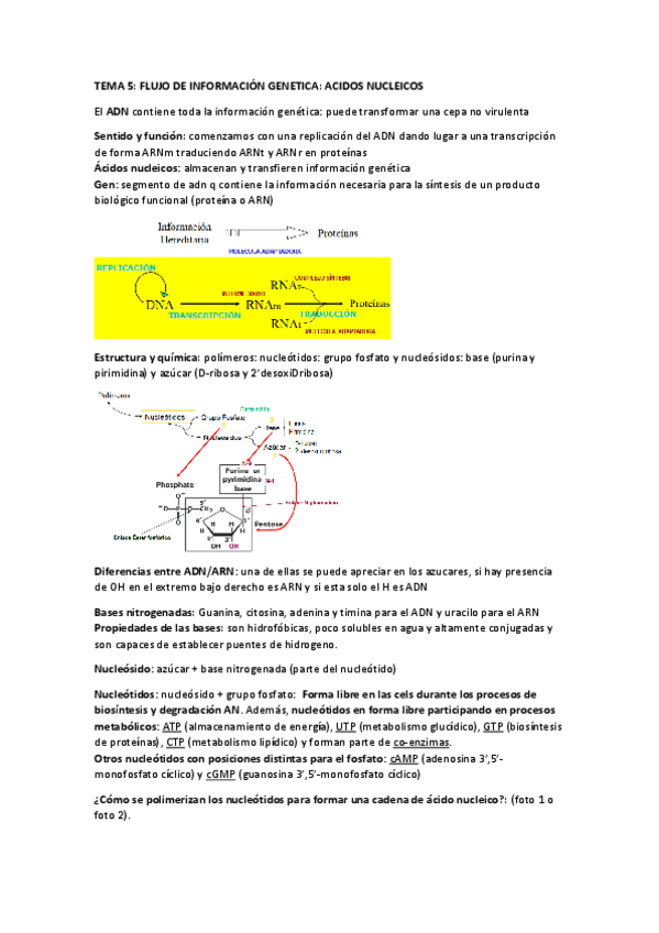 Miniatura del documento TEMA-5-7.pdf