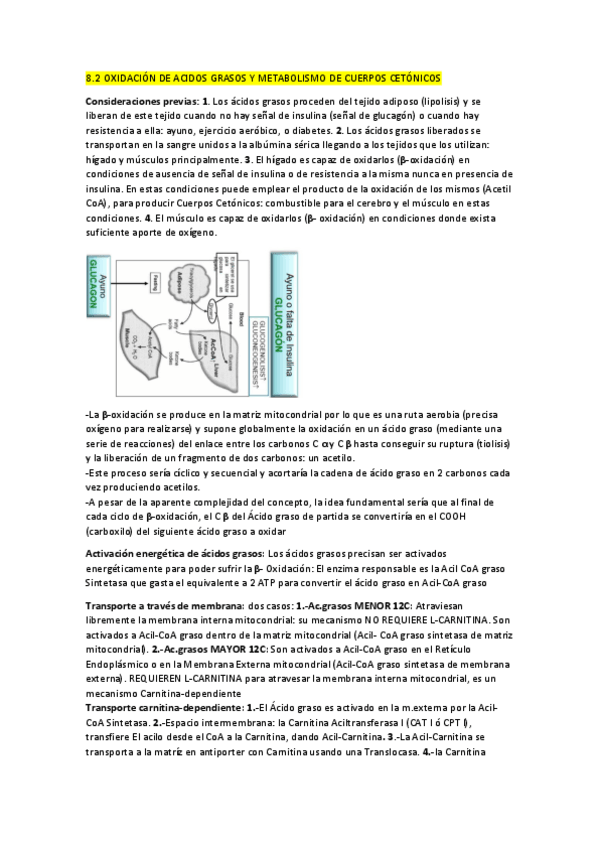 Miniatura del documento TEMA-8-10-BIOQ.pdf