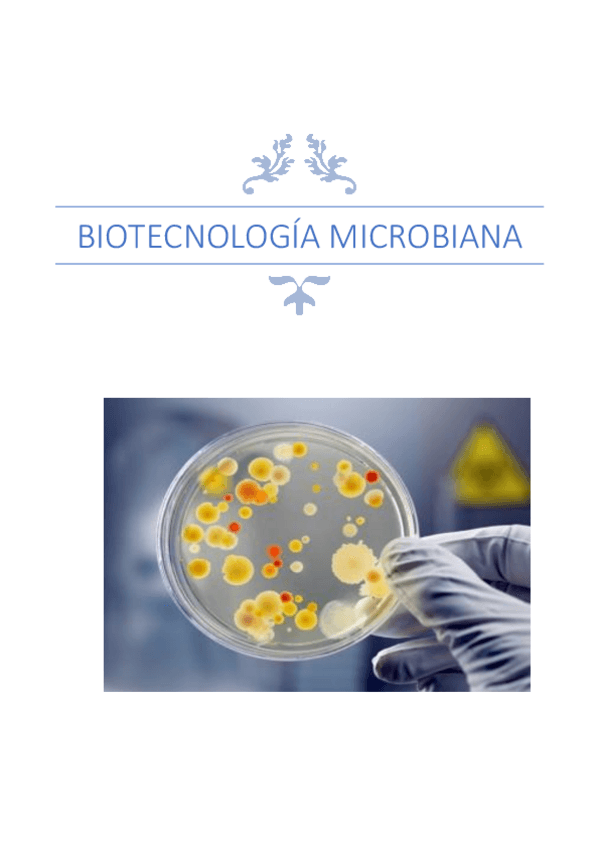 Miniatura del documento Todo-teoria-del-cuatrimestre.pdf