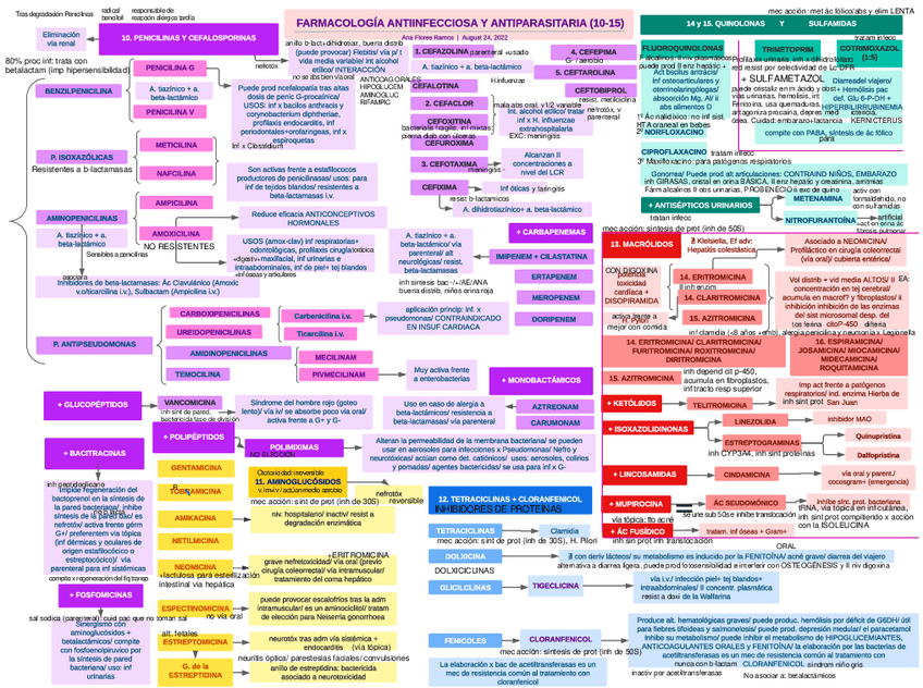 Miniatura del documento ESQUEMAS-BLOQUE-SUSAN-UNIDOS.pdf