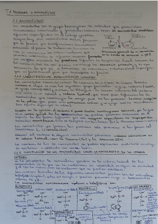 Miniatura del documento Tema-1Proteinas.pdf