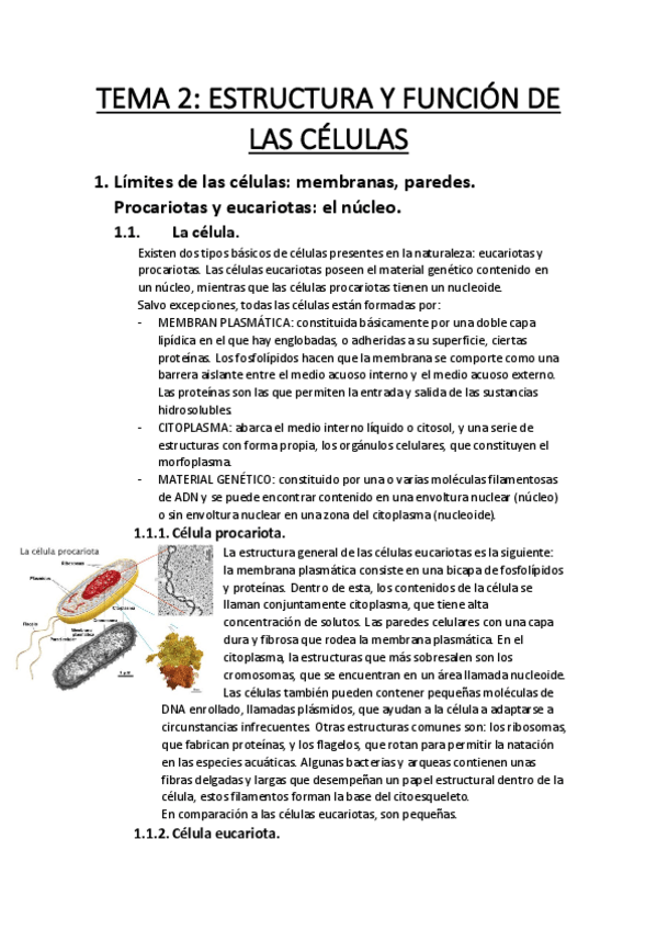 Miniatura del documento Tema2Resumen.pdf