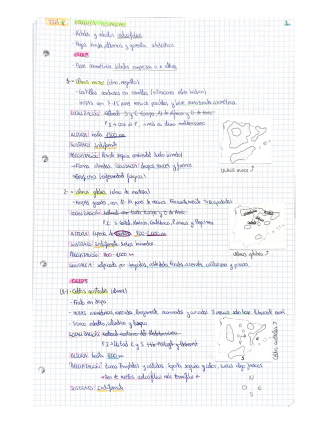 Miniatura del documento 2-PARCIAL-BOTANICA.pdf