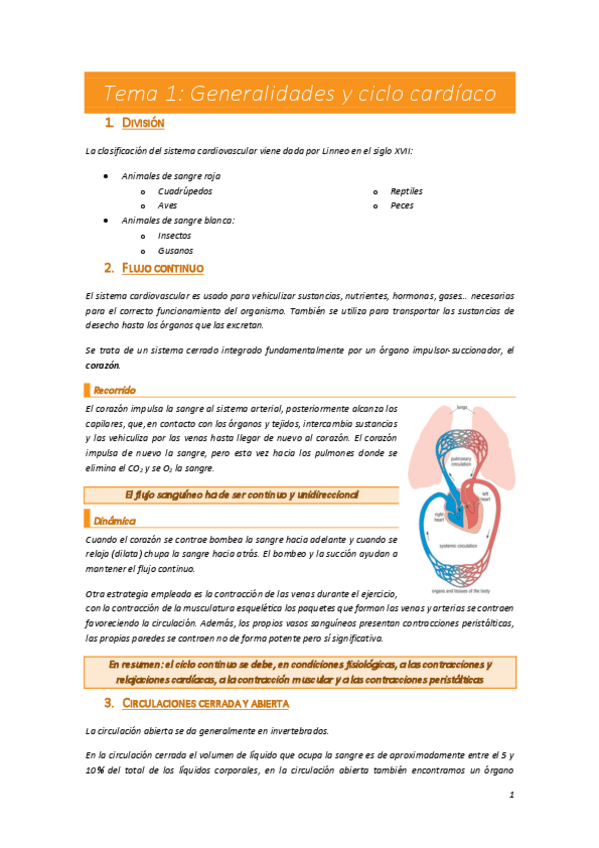 Miniatura del documento Cardio-1.pdf
