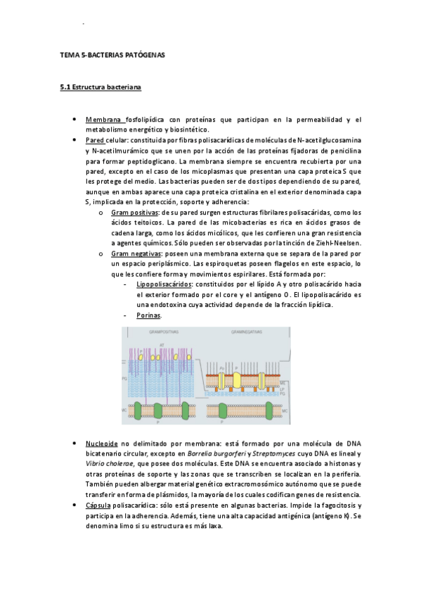 Miniatura del documento TEMA 5-Bacterias patógenas.pdf