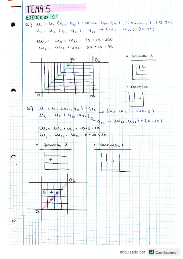 Miniatura del documento temas-5-y-6.pdf