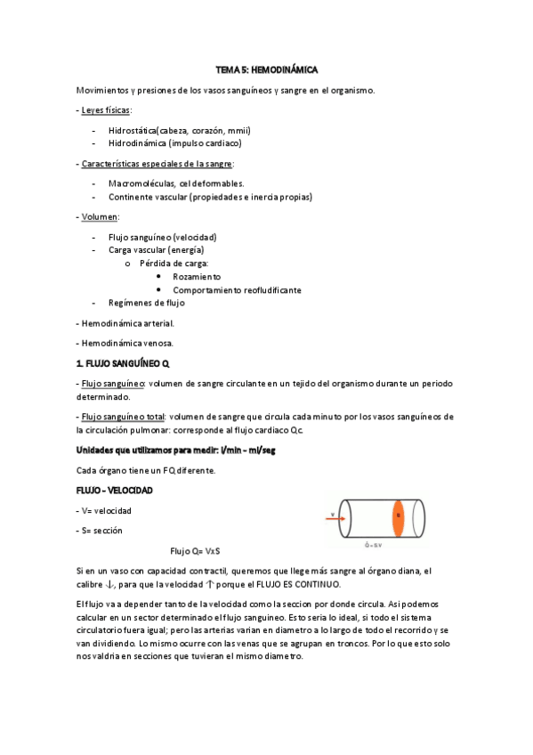 Miniatura del documento TEMA-5.pdf