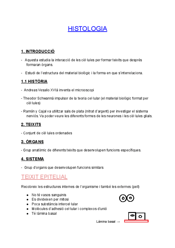 Miniatura del documento HISTOLOGIA-apunts-1r-quatri-fisio.pdf