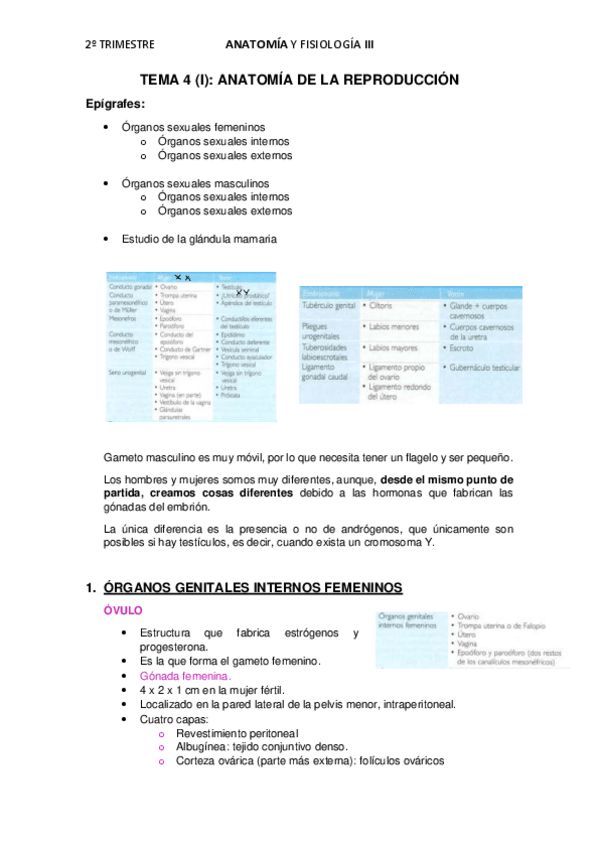 Miniatura del documento APUNTES-TEMA-4.pdf