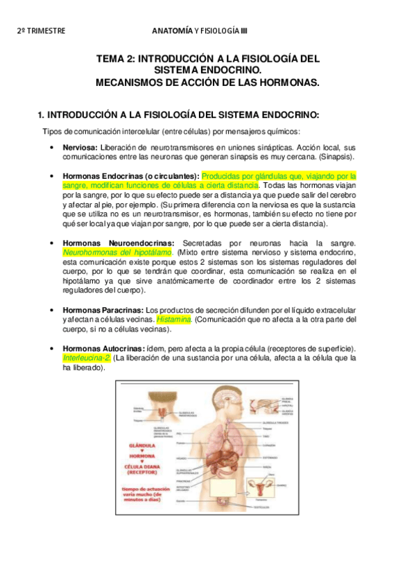 Miniatura del documento APUNTES-TEMA-2.pdf