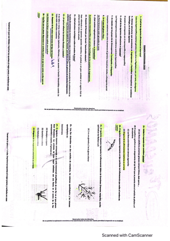 Miniatura del documento examen-fane.pdf
