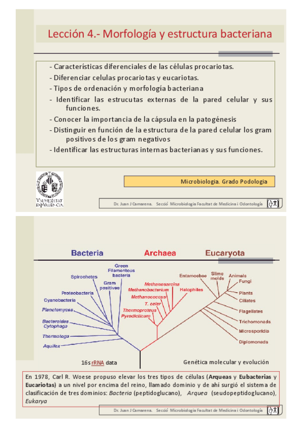 Miniatura del documento tema-9.pdf