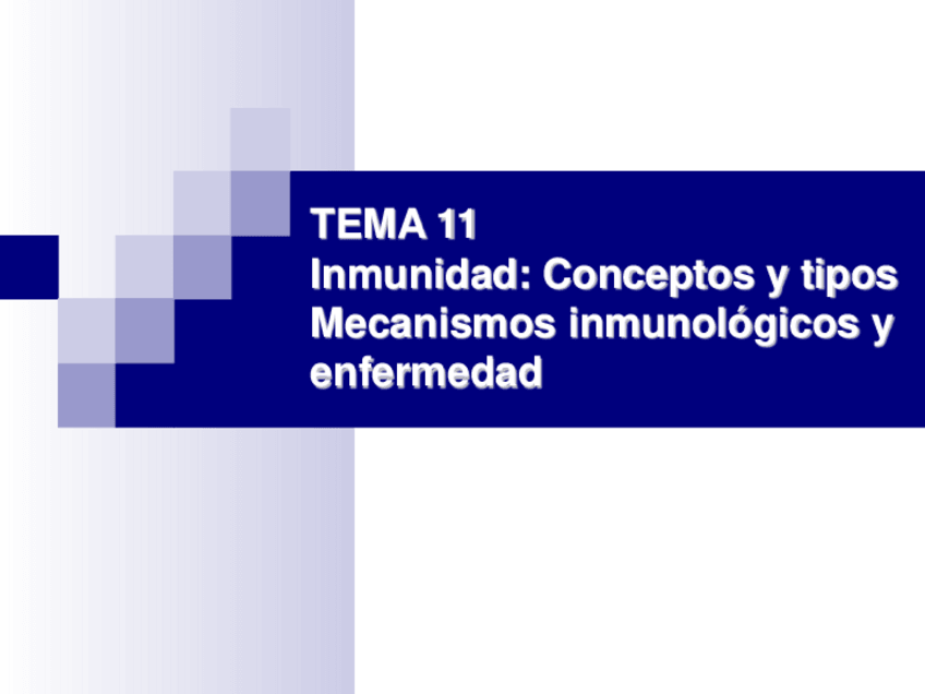 Miniatura del documento Tema-11.pdf