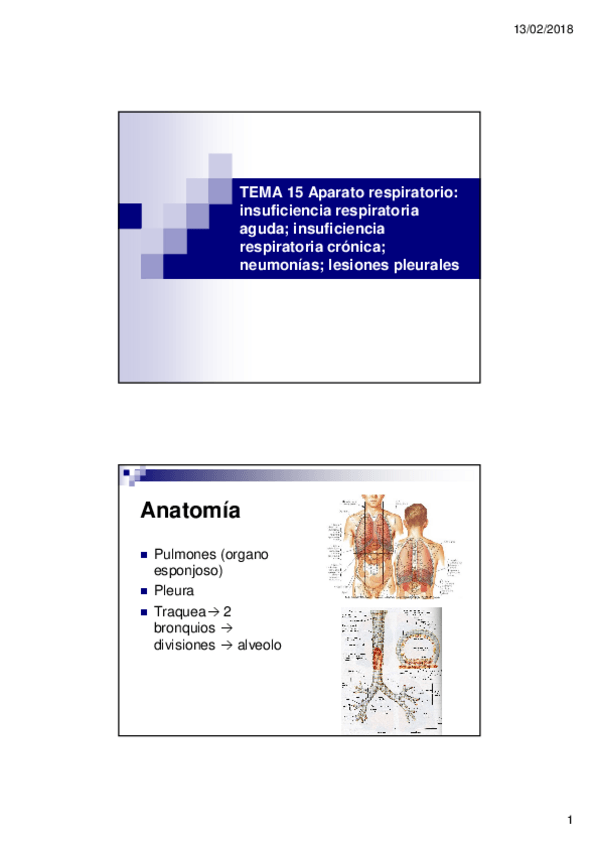 Miniatura del documento TEMA-15.pdf