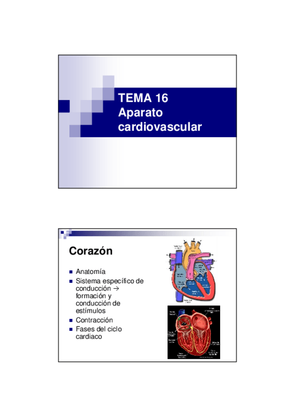 Miniatura del documento TEMA-16.pdf
