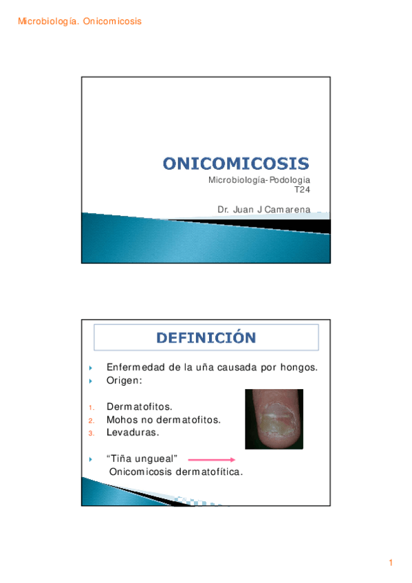 Miniatura del documento tema-24.pdf