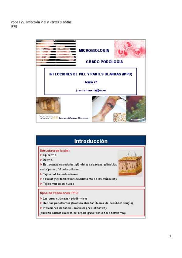 Miniatura del documento tema-25.pdf