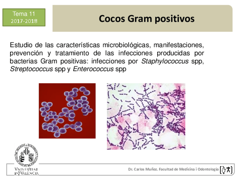Miniatura del documento Temas-11.pdf