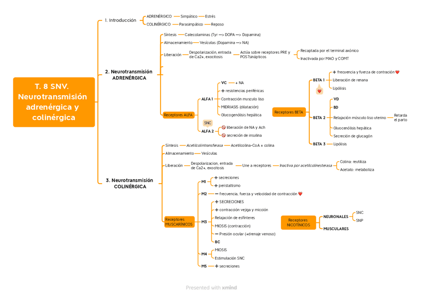 Miniatura del documento Esquemas-Bloque-II.pdf