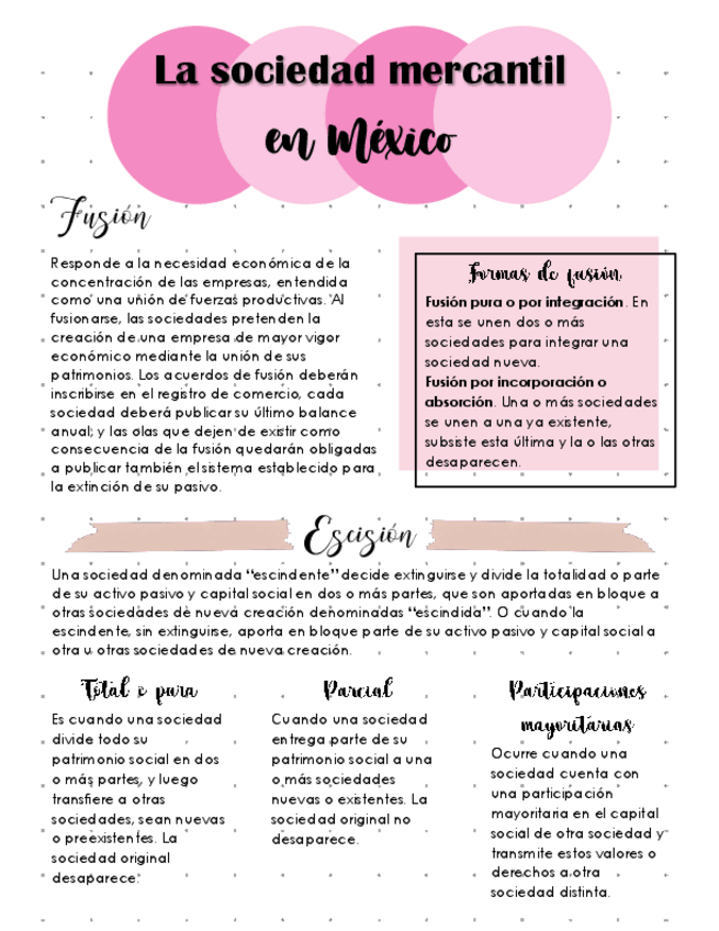 Miniatura del documento Fusion-escision-y-transformacion.pdf